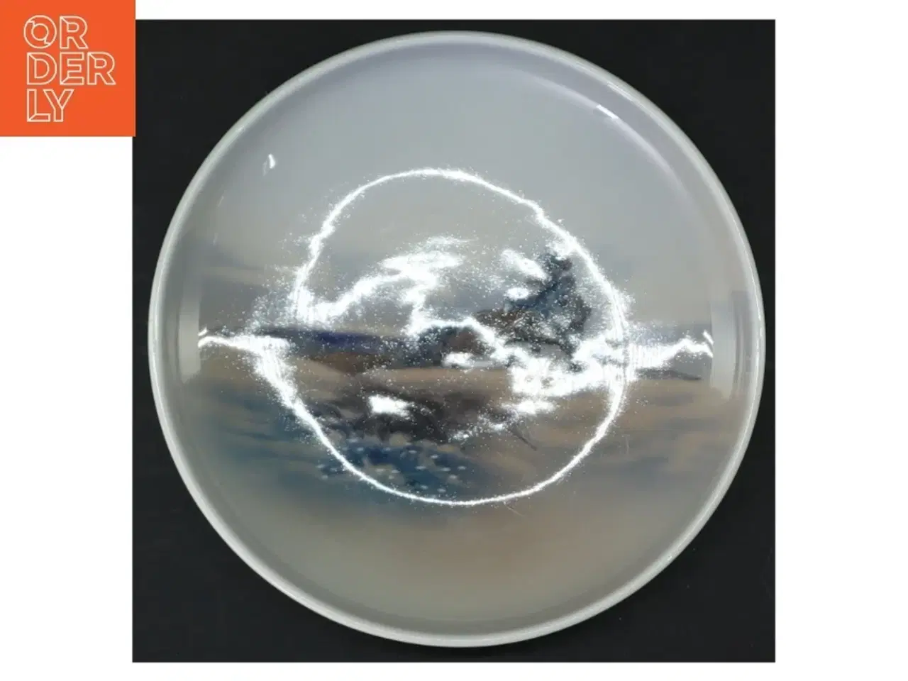 Billede 1 - Hvid porcelænstallerken (str. 16 cm i diameter)