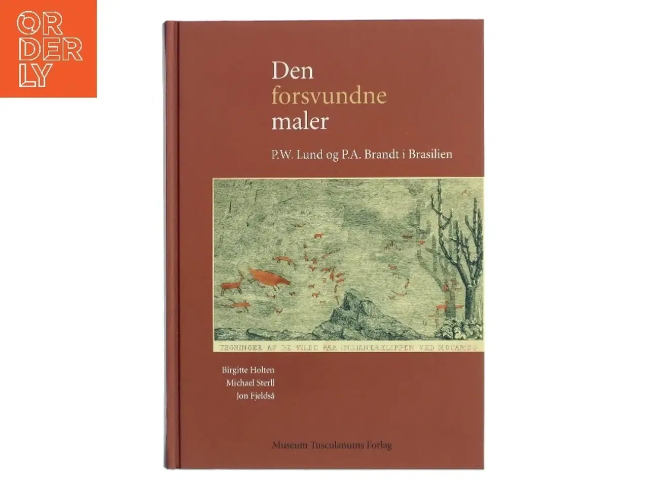 Billede 1 - Den forsvundne maler : P.W. Lund og P.A. Brandt i Brasilien (Bog)