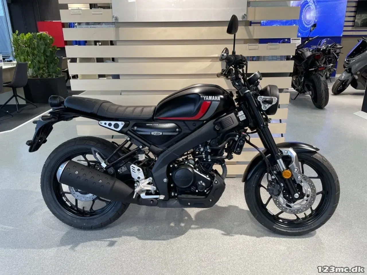 Billede 3 - Yamaha XSR 125