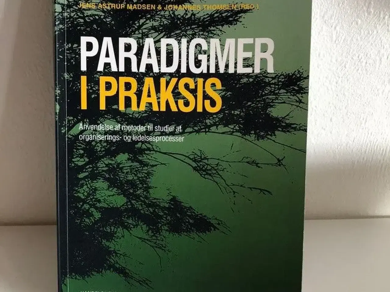 Billede 1 - Paradigmer i Praksis