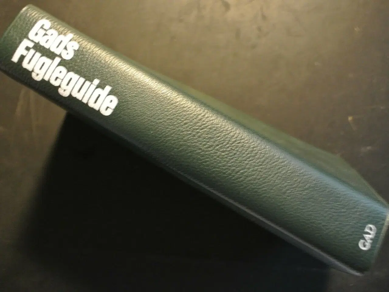 Billede 1 - gads fugleguide Af stuart keith og john gooders