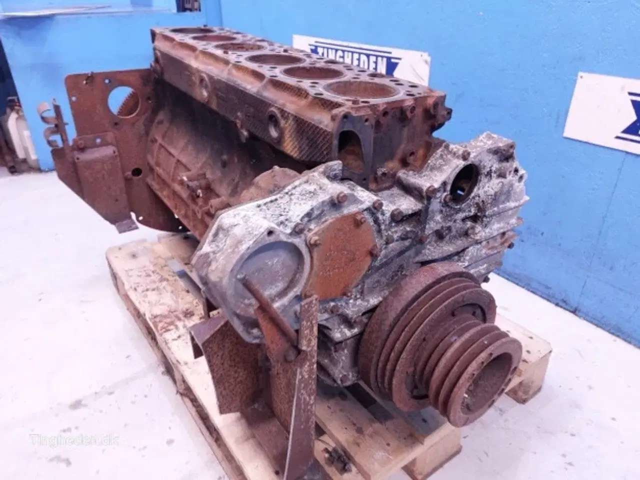 Billede 3 - Iveco 8460 SRI 10 Motor 61321549