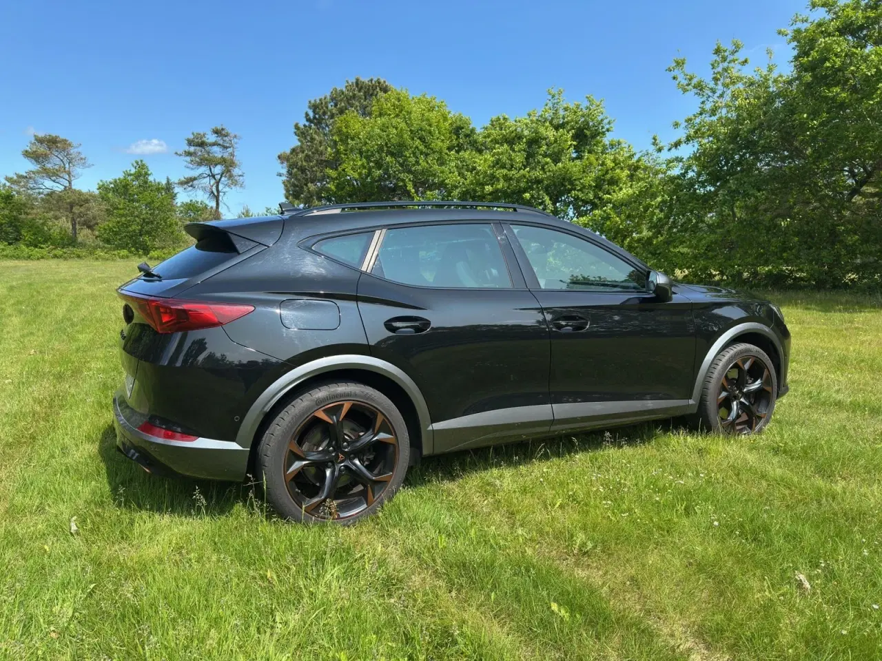Billede 5 - Cupra Formentor 1,4 eHybrid VZ DSG