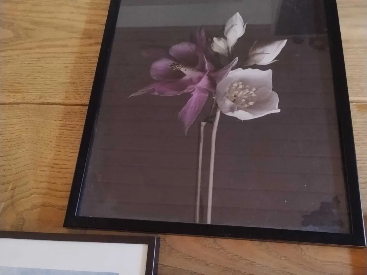 Billede 8 - 7 indrammede plakater