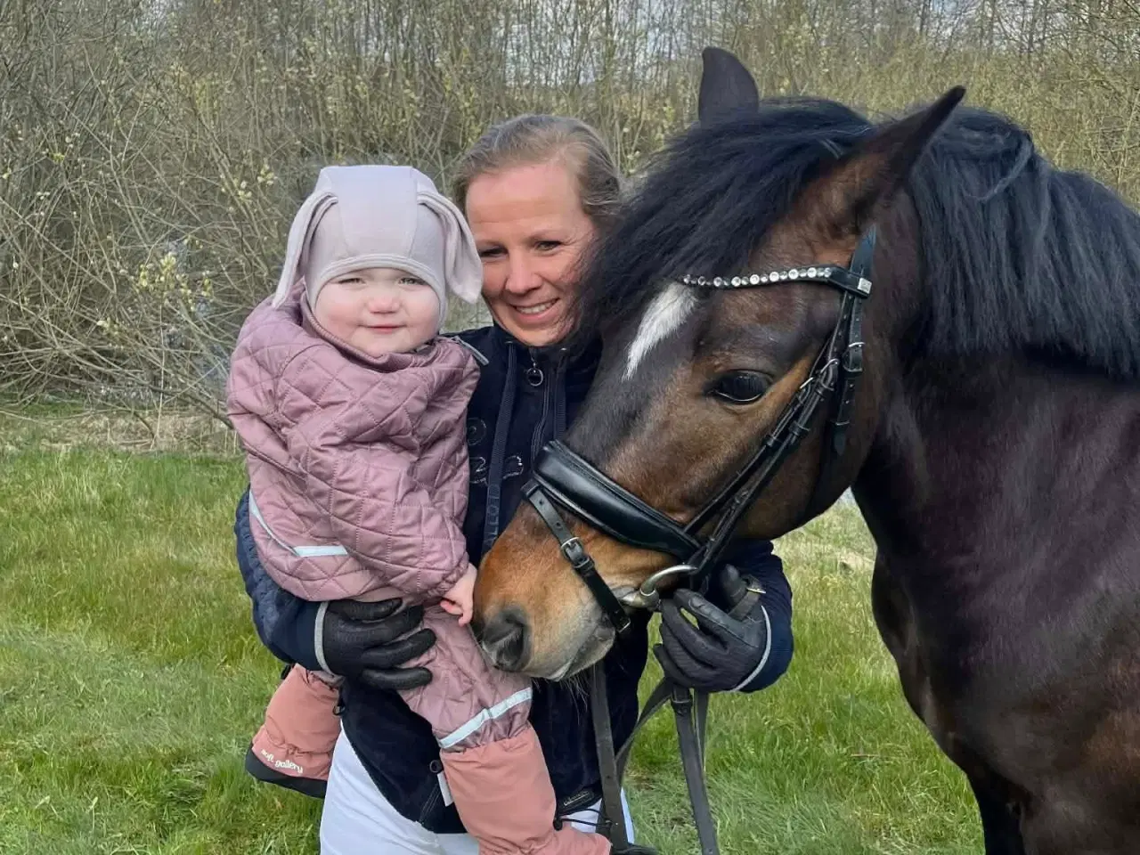 Billede 5 - Allround 2’er pony søger sin nye familie 