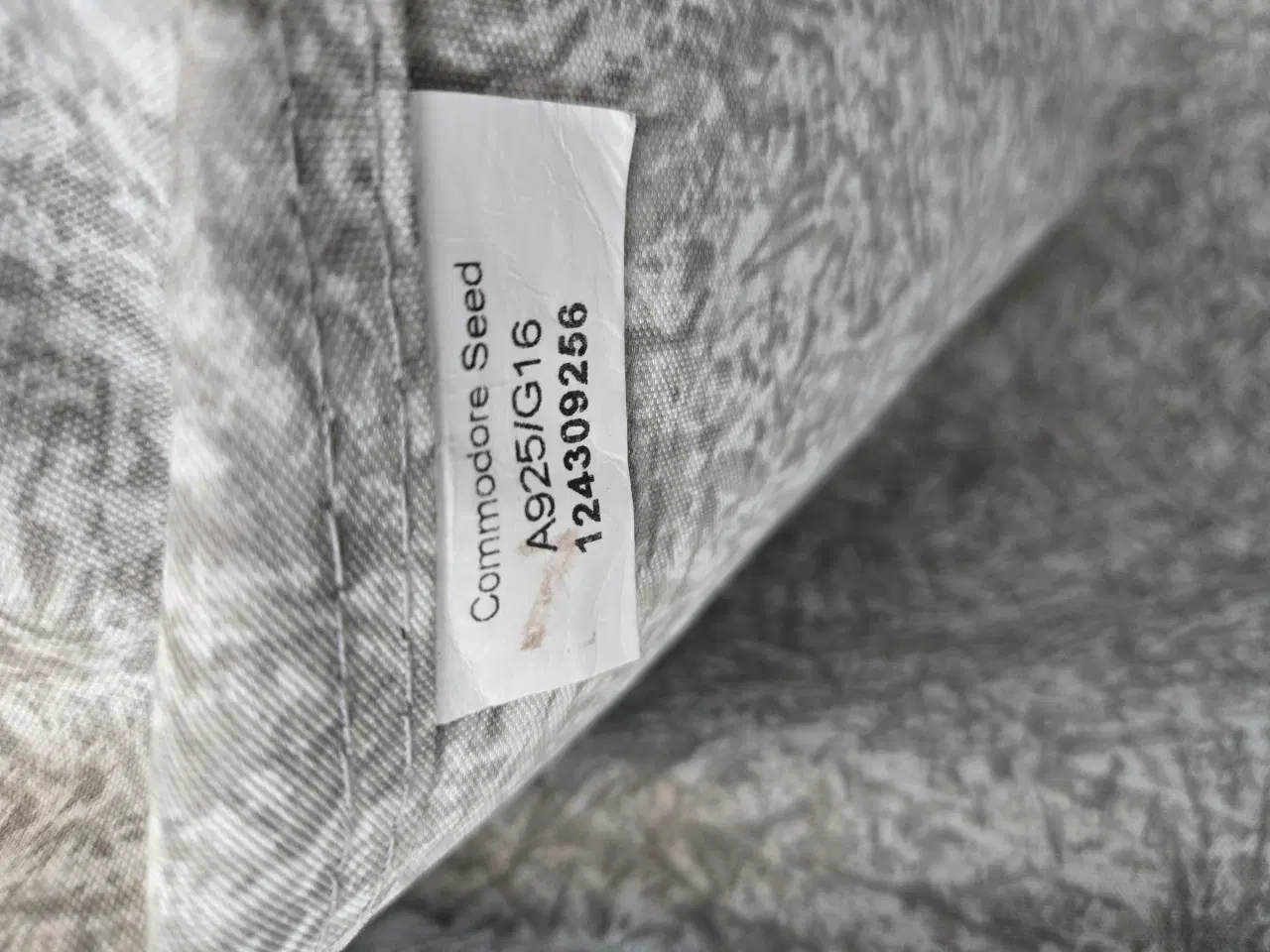 Billede 9 - Isabella commondore seed A925 G16