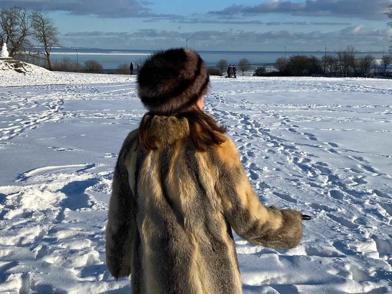 Billede 1 - Ægte ræv god stand ingen fejl ikke ryger hjem 