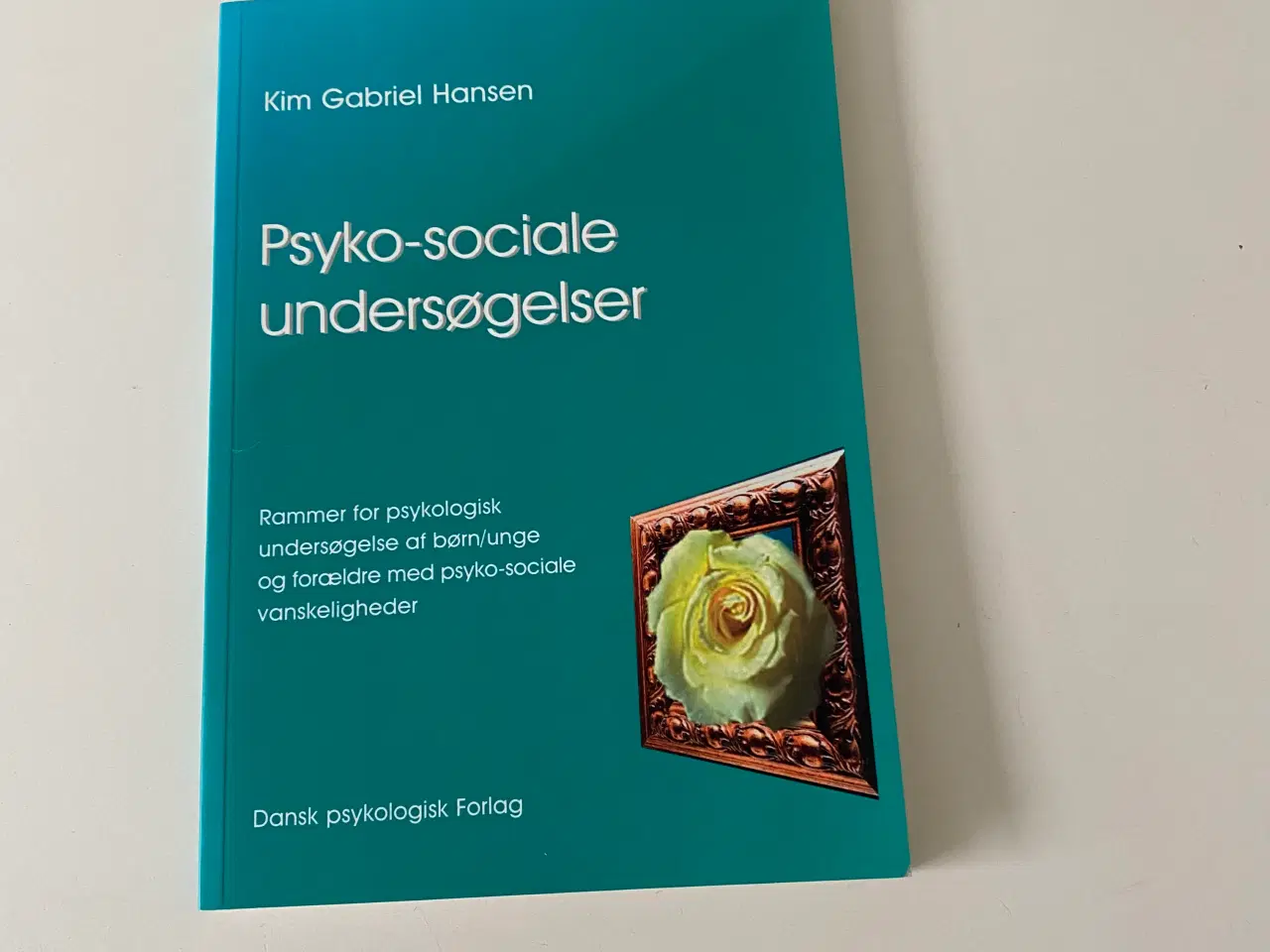 Billede 1 - Fagbog: Psyko-sociale undersøgelser