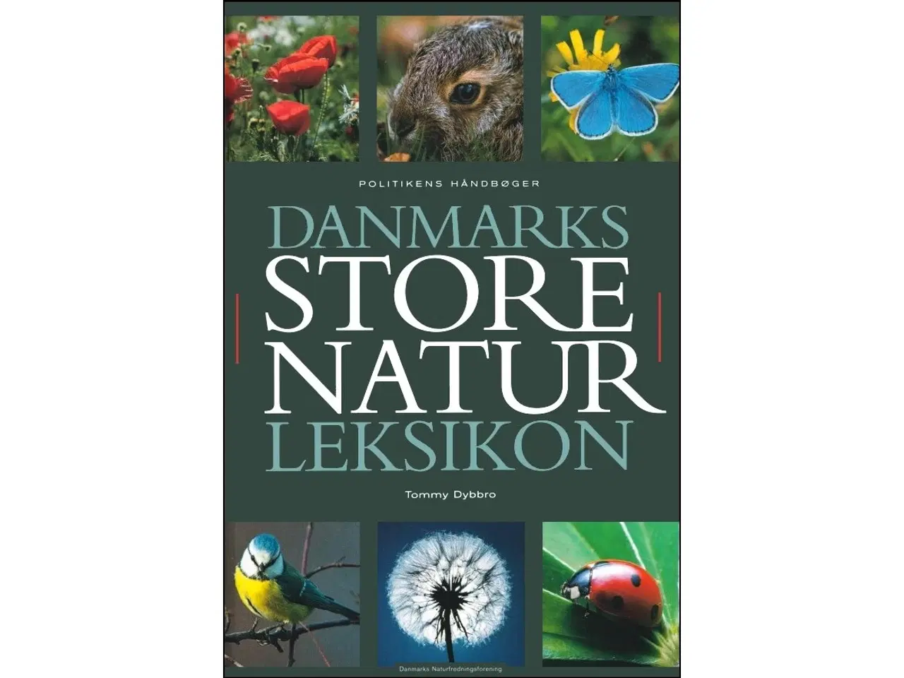 Billede 1 - Danmarks store Naturleksikon