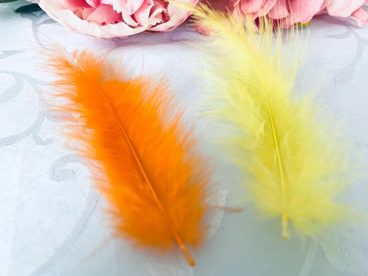 Billede 7 - Blandet fjer 