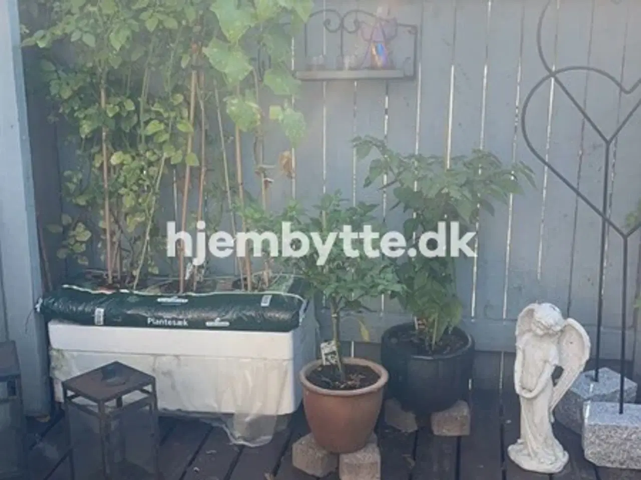 Billede 4 - Hjembytte - Tårnvej