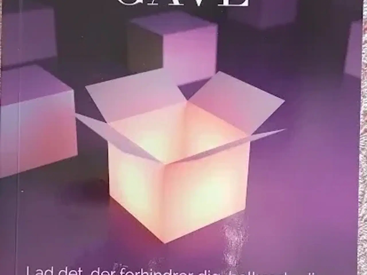 Billede 2 - Frygtens skjulte gave