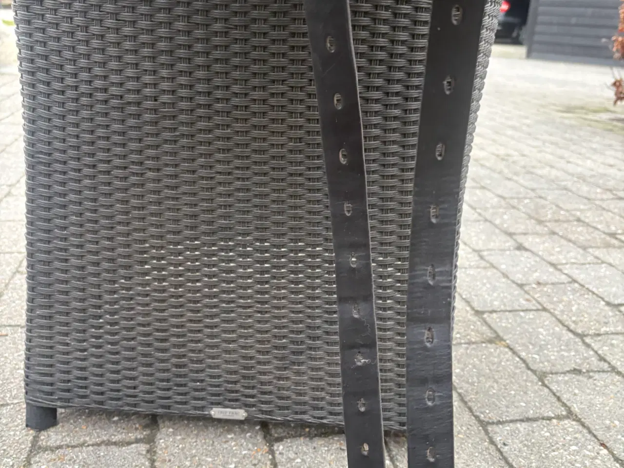 Billede 6 - Eques Forma 16”