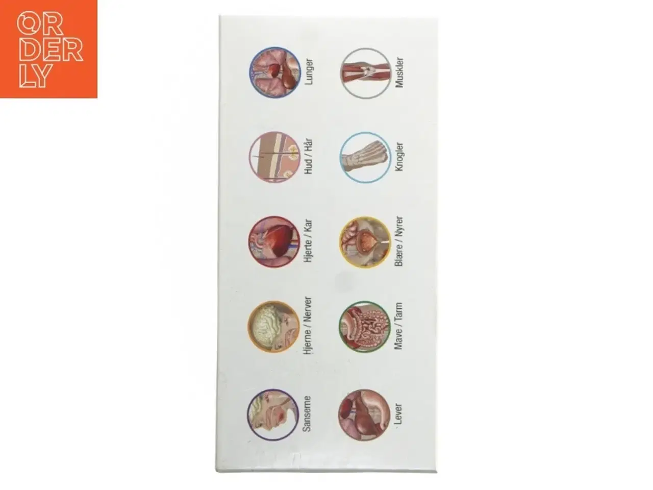 Billede 5 - BodyIQ Junior brætspil fra BodyIQ