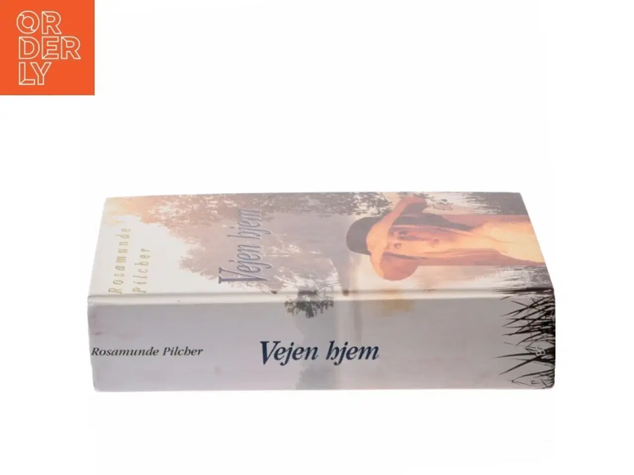 Billede 2 - Vejen hjem af Rosamunde Pilcher (Bog)