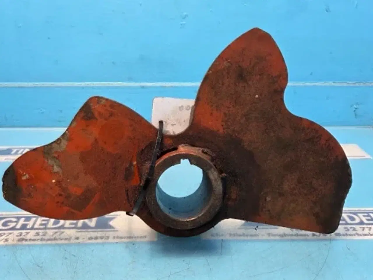 Billede 6 - Hesston 4900 Kam 700113328