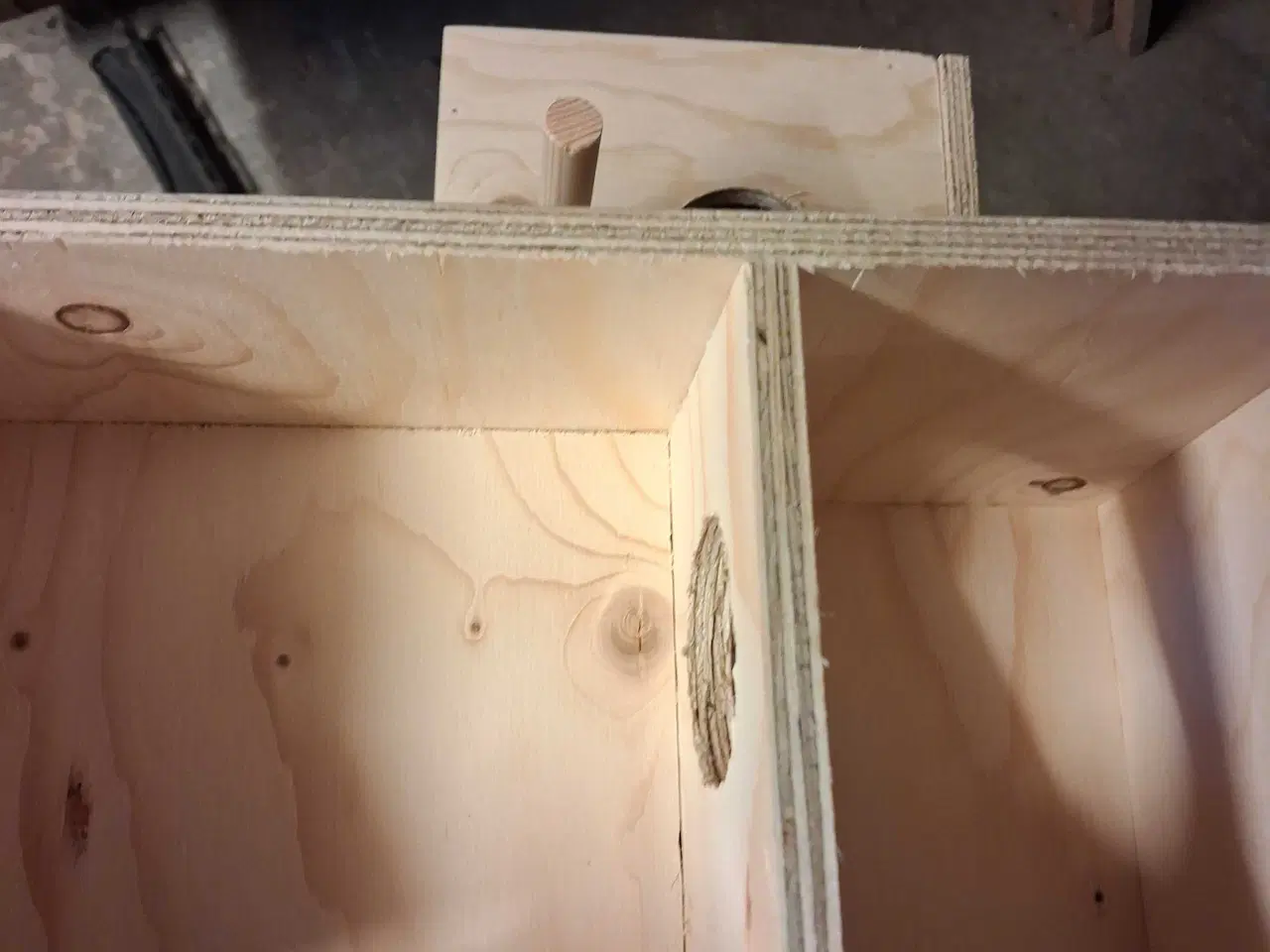 Billede 2 - Redekasser 2rums til  citron parakitter