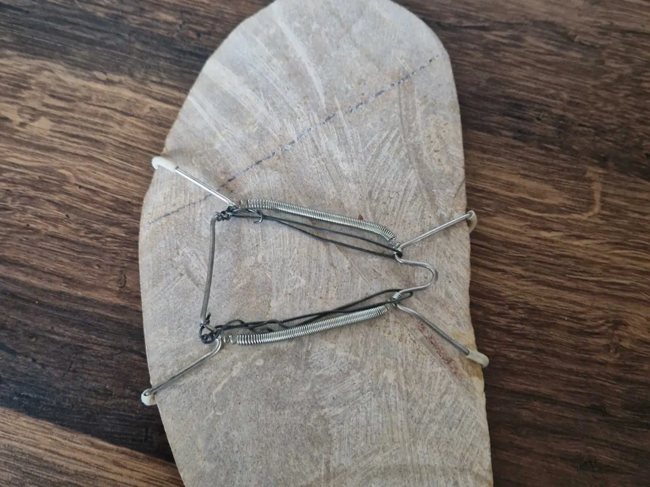 Billede 5 - Fossiler fra Brasilien fisk