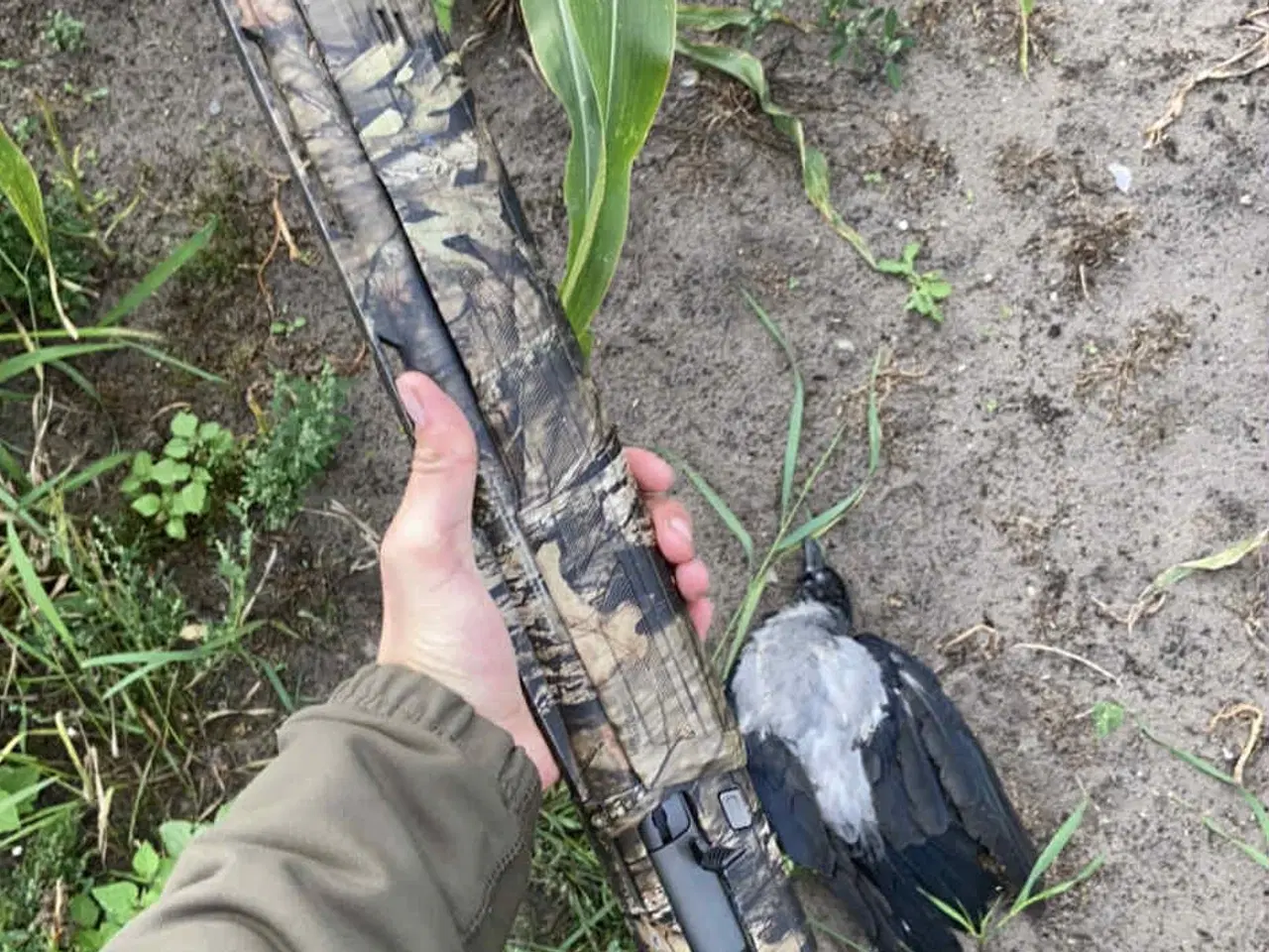 Billede 1 - Winchester SX 4 - 12/89 - 76 cm model