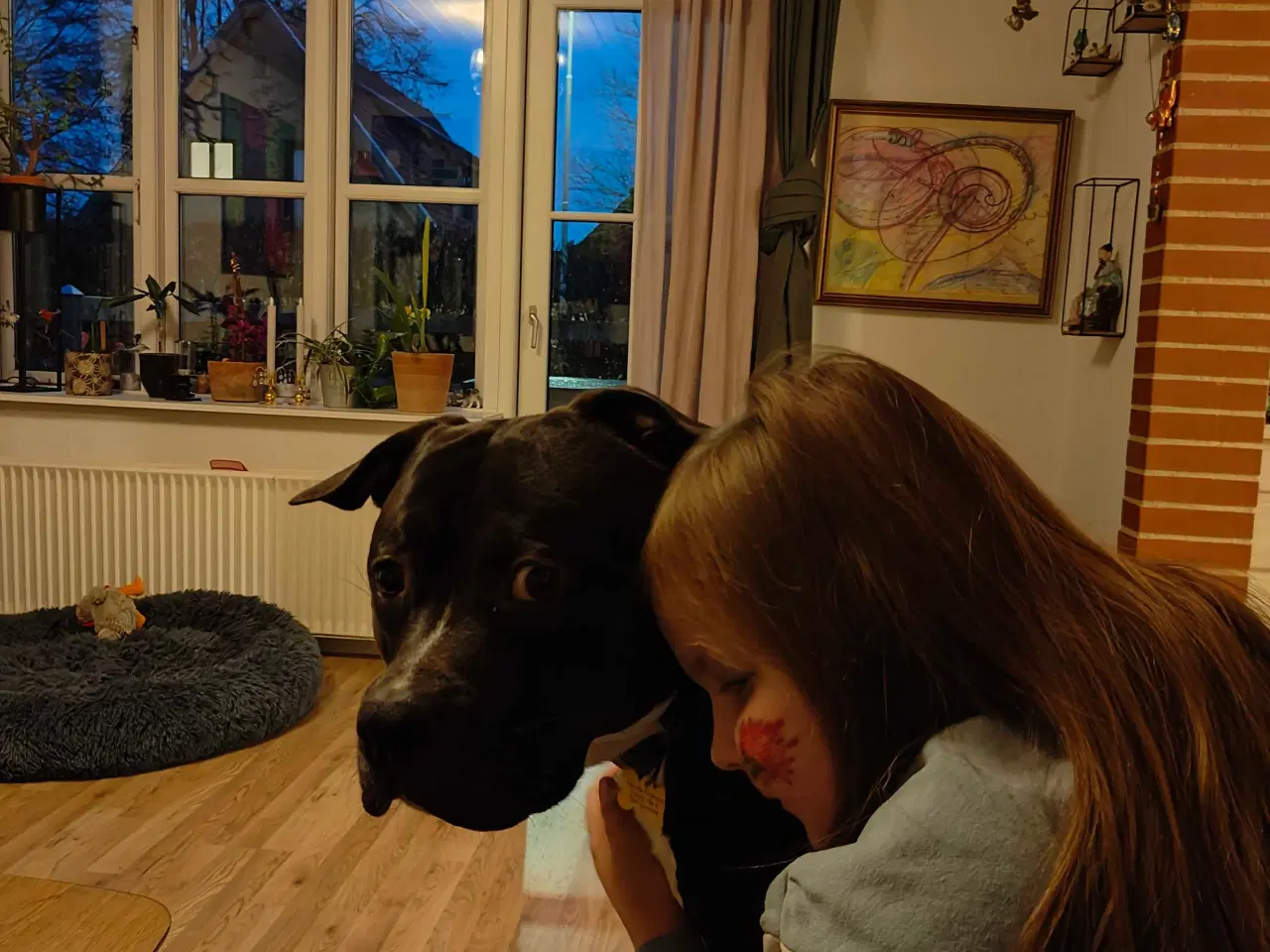 Billede 4 - Søger forever hjem 