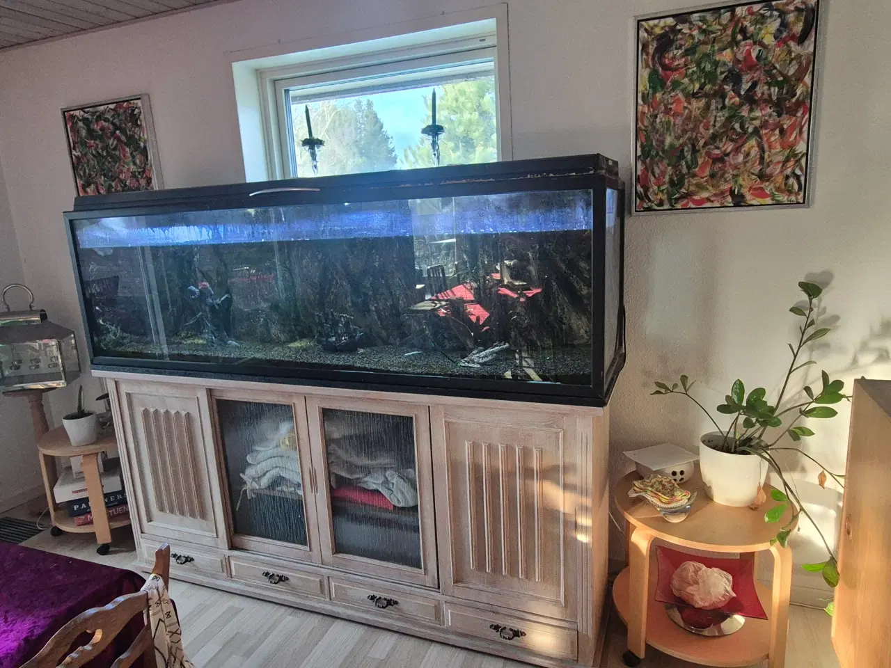 Billede 3 - 660L akvarie med 3D baggrund