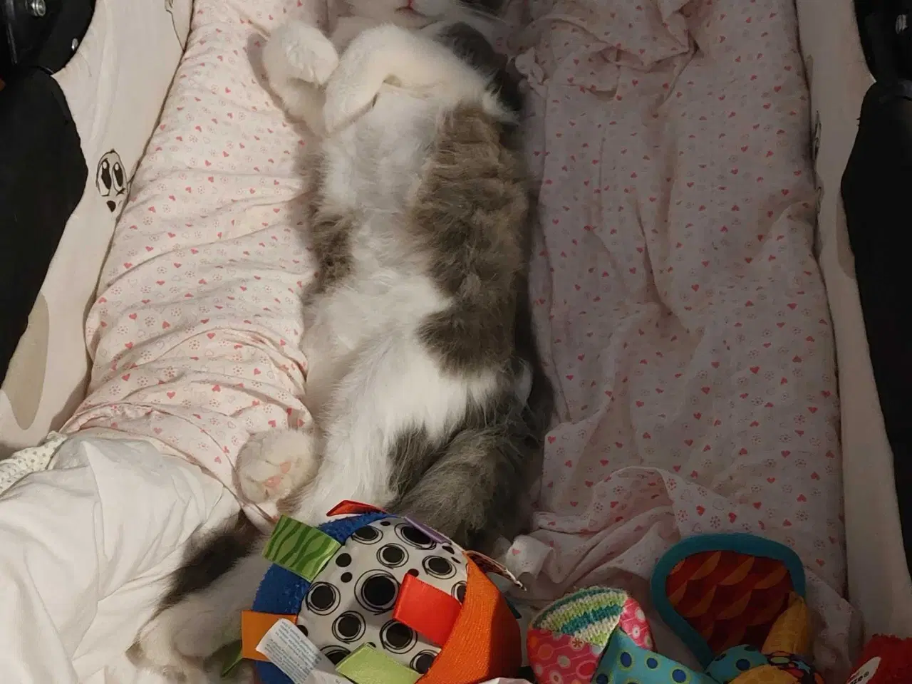 Billede 4 - Hej jeg hedder lusifer 