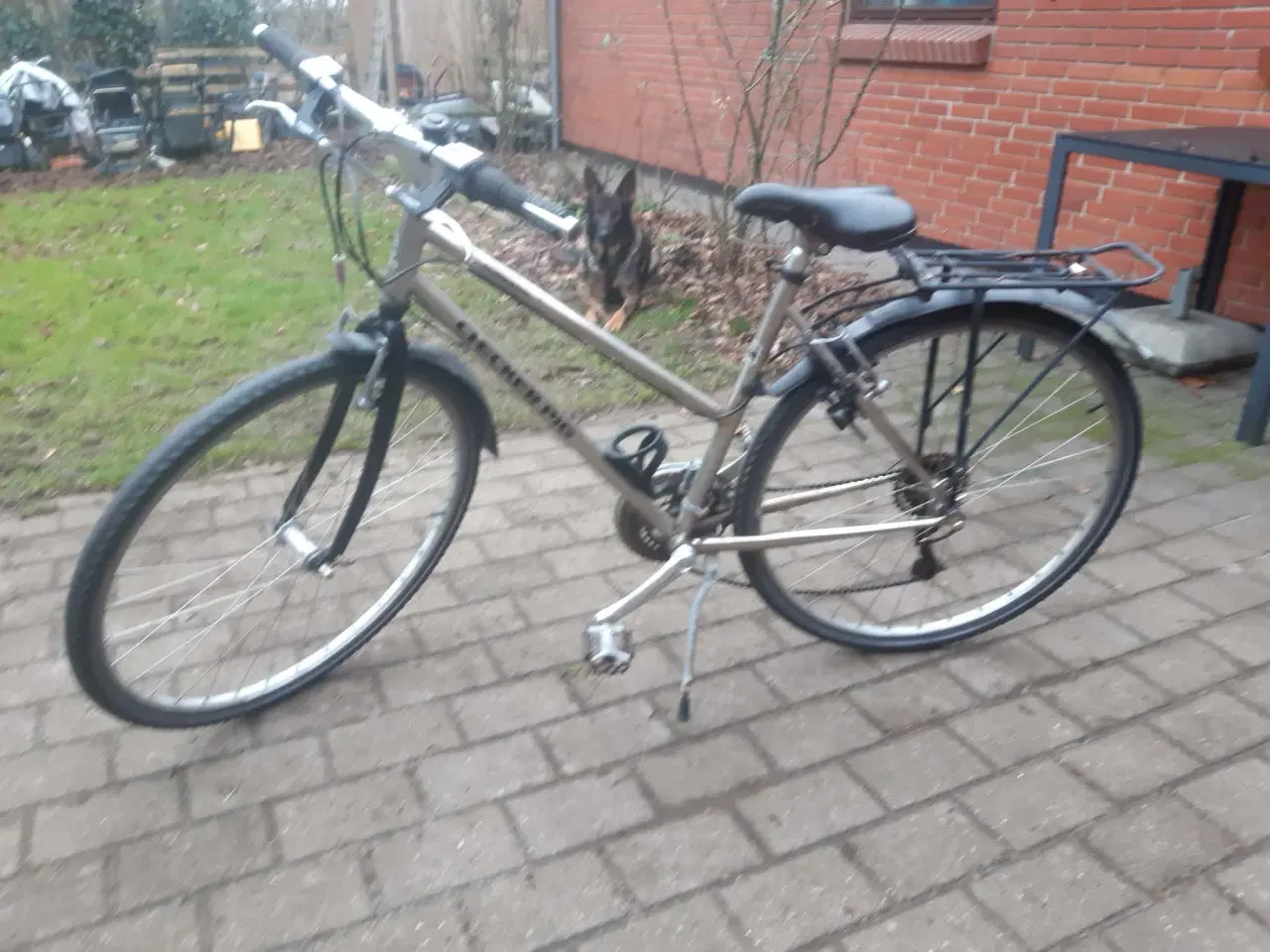 Billede 2 - Checker pig 24 gear