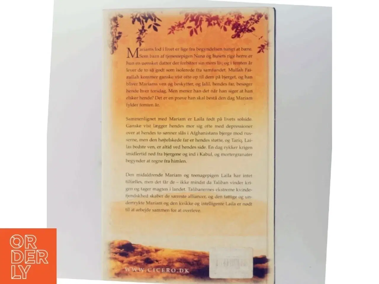 Billede 3 - Khaled Hosseini, under den strålende sol