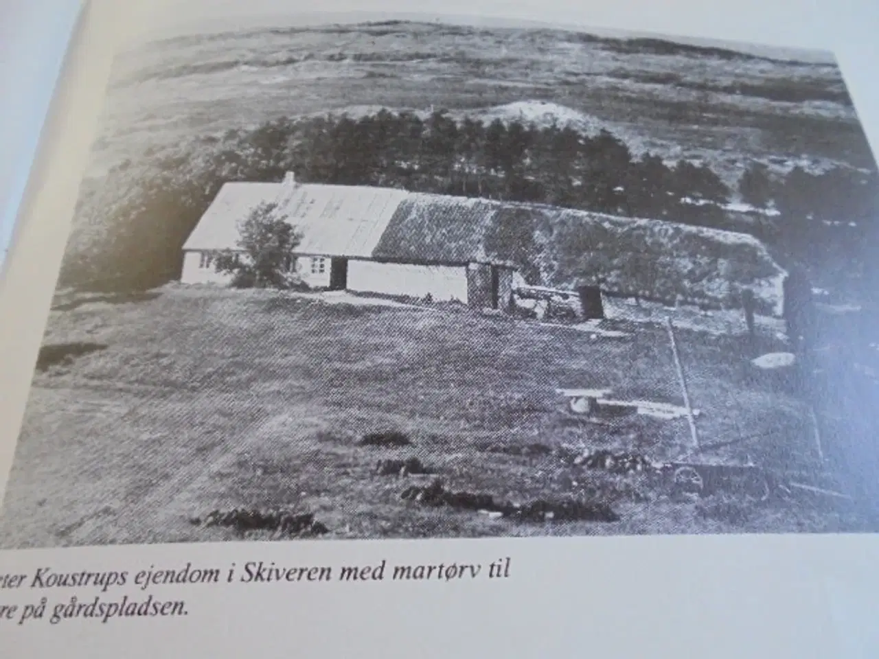 Billede 7 - Havbønder bag Tannis Bugt - og Ædels Forlis 