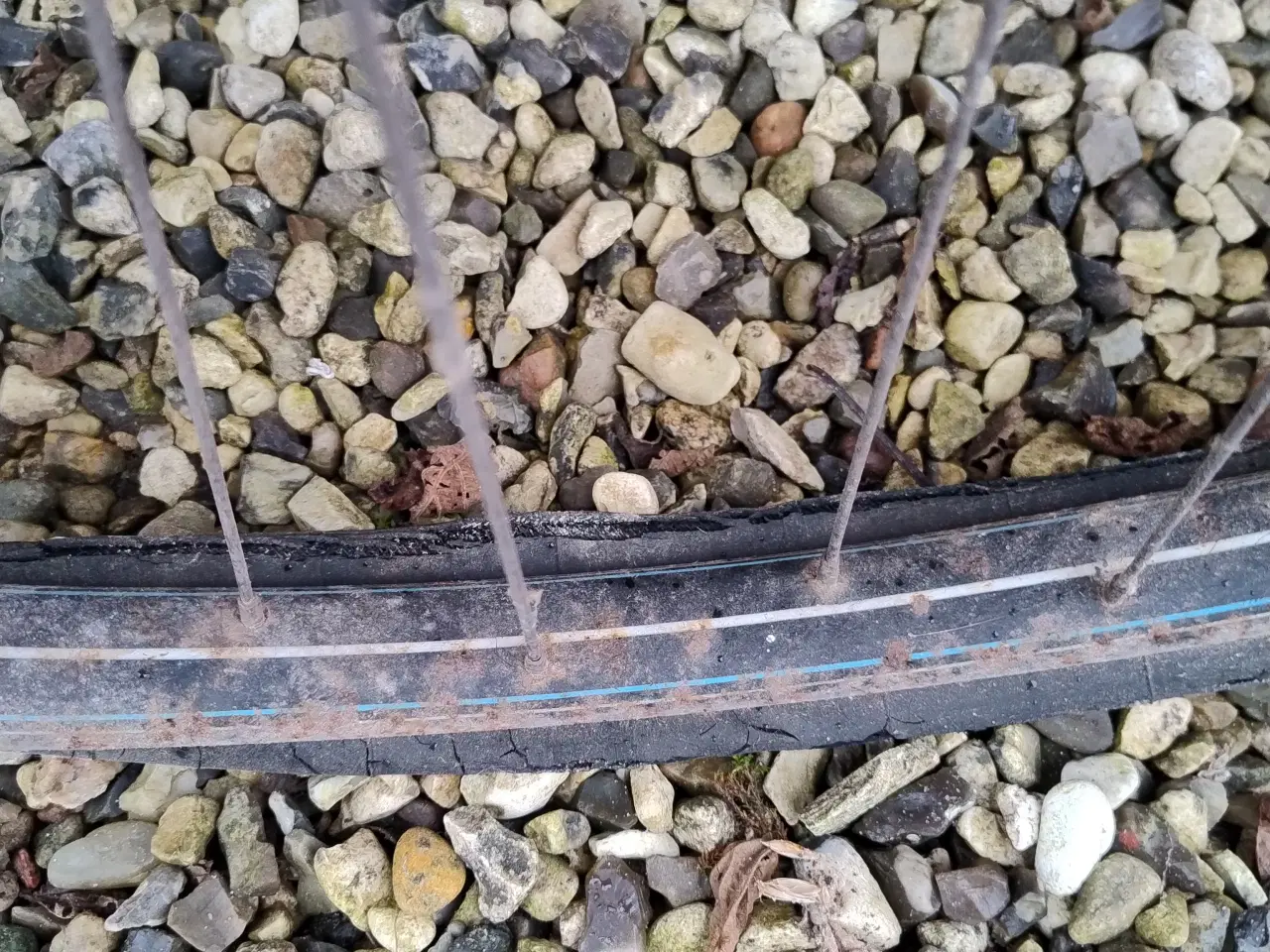 Billede 2 - Cykel meget gammel