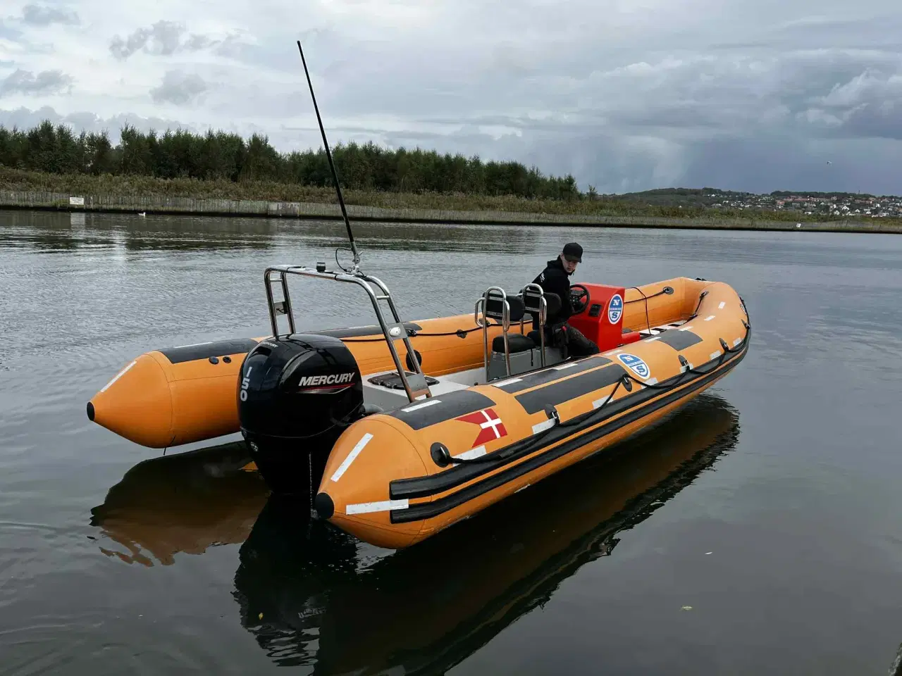 Billede 20 - Pro-safe RIB 740 med 150 Mercury