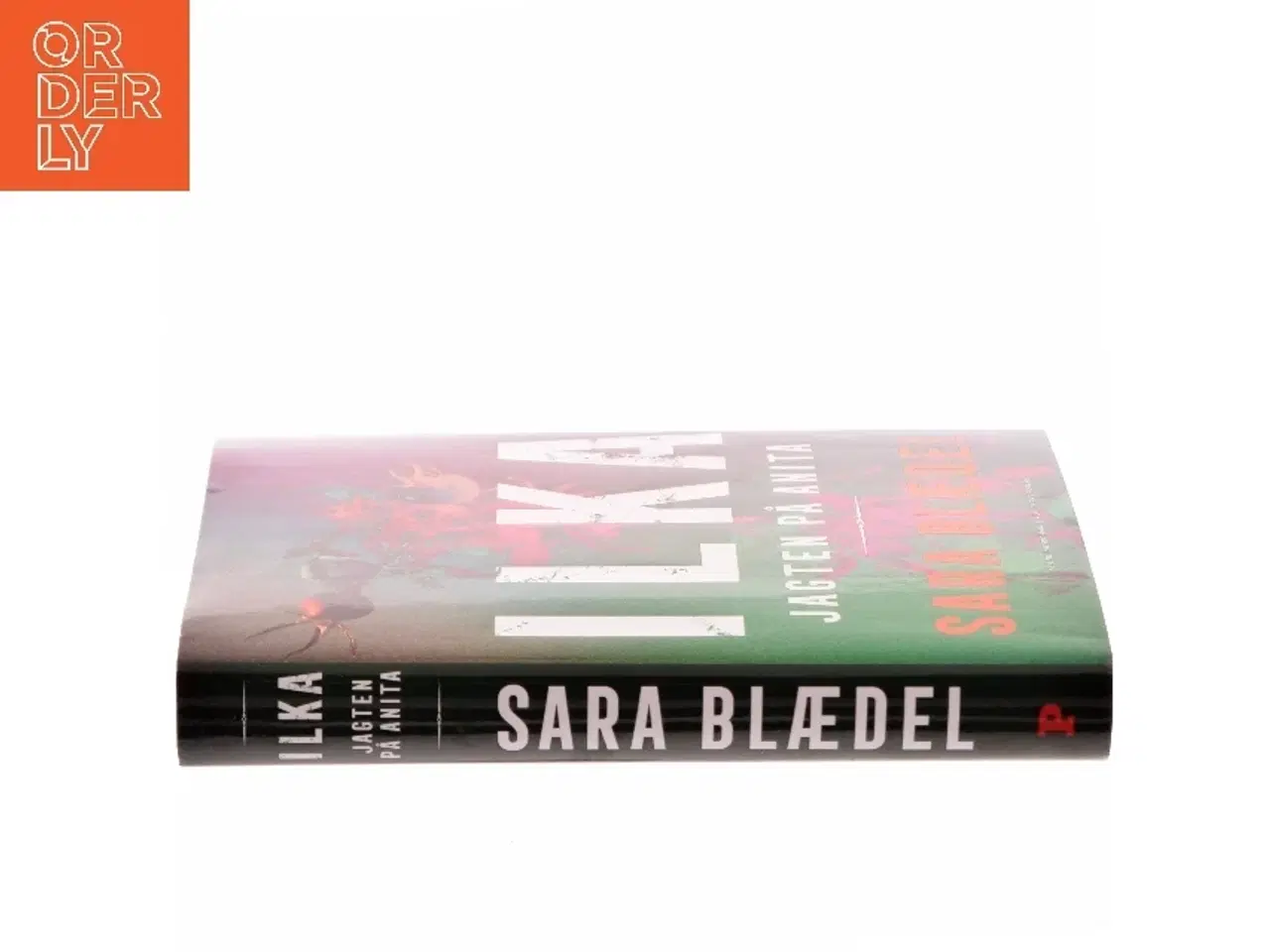 Billede 2 - Jagten på Anita : spændingsroman af Sara Blædel (Bog)