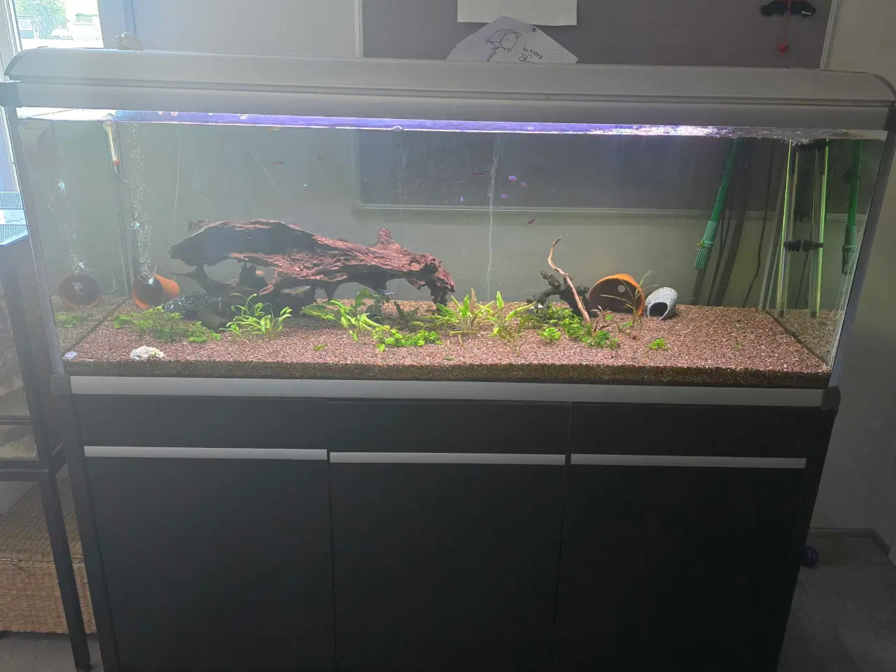Billede 1 - Akvarie med alt 