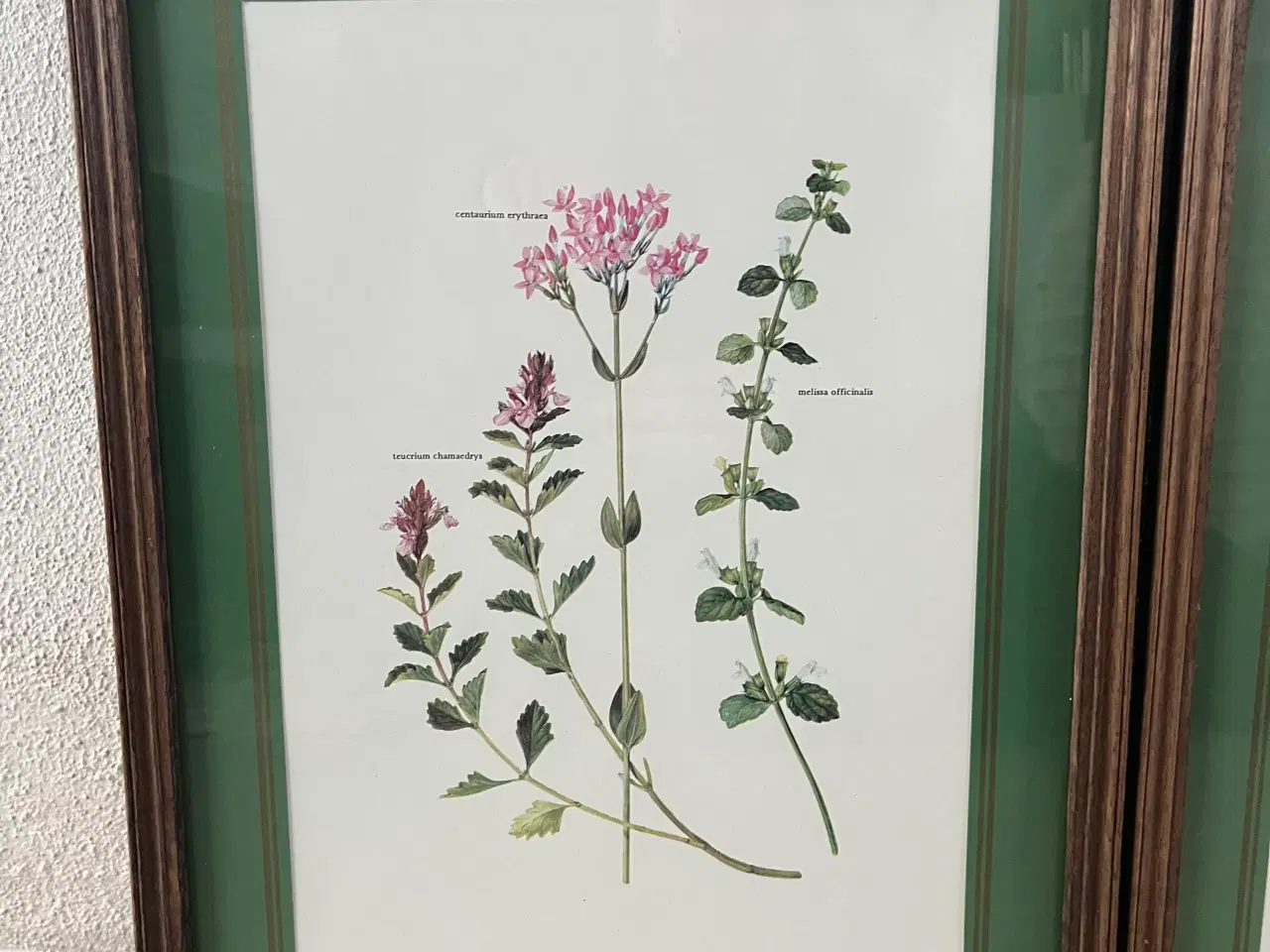 Billede 2 - Billeder 