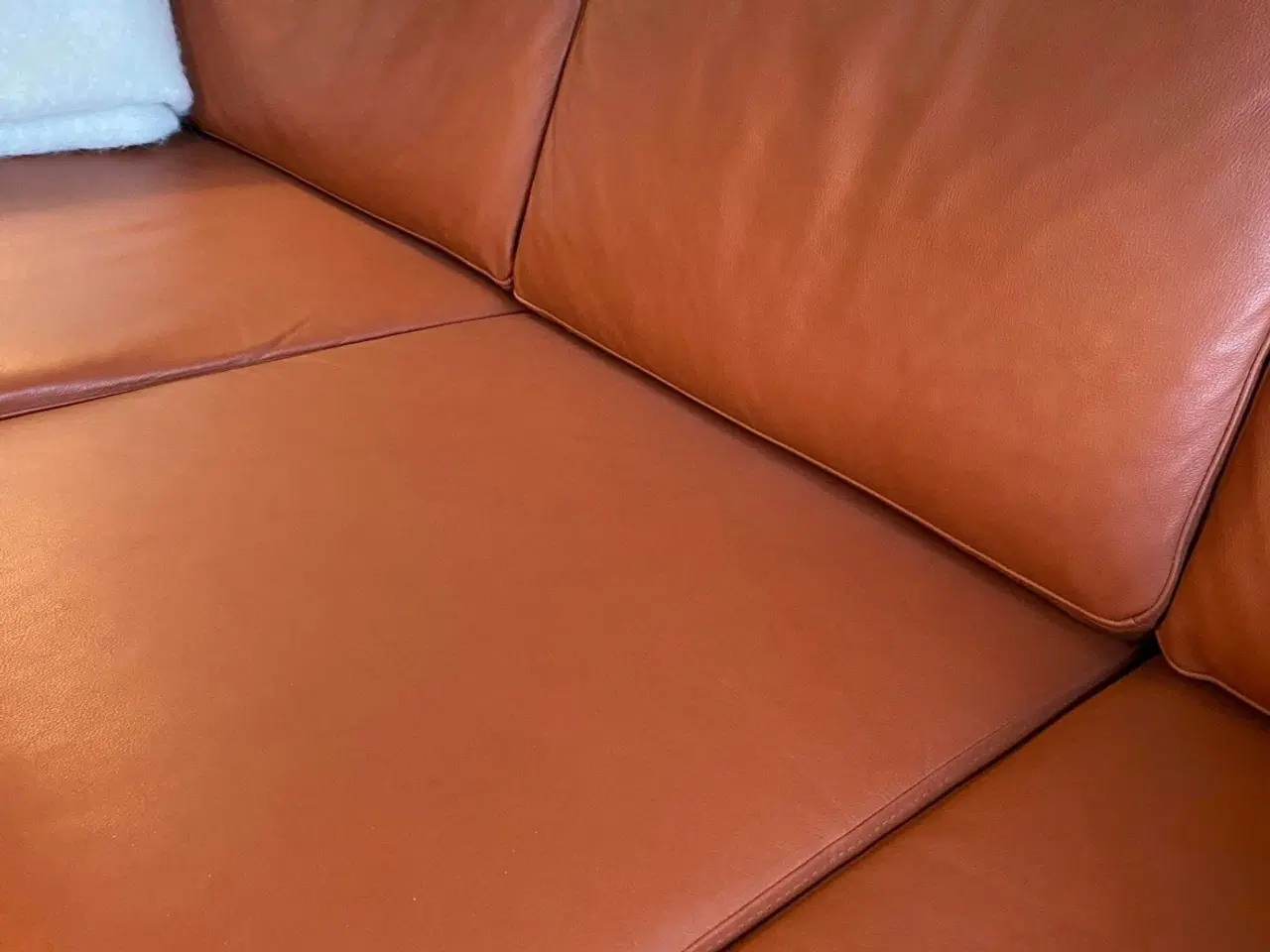 Billede 5 - Flot læder sofa og stol