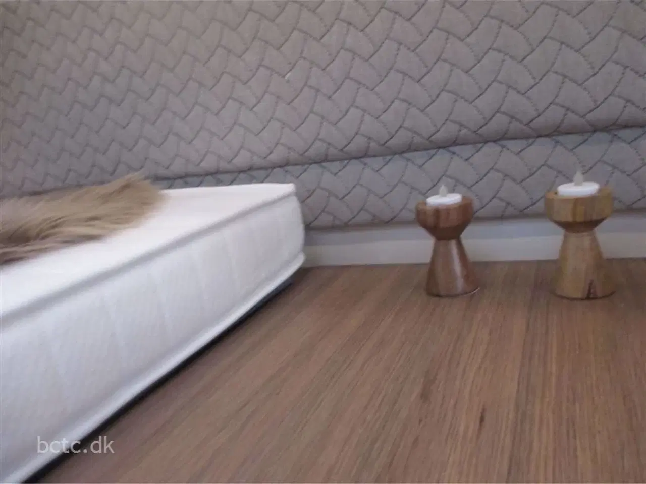 Billede 17 - 2026 - Elnagh Baron