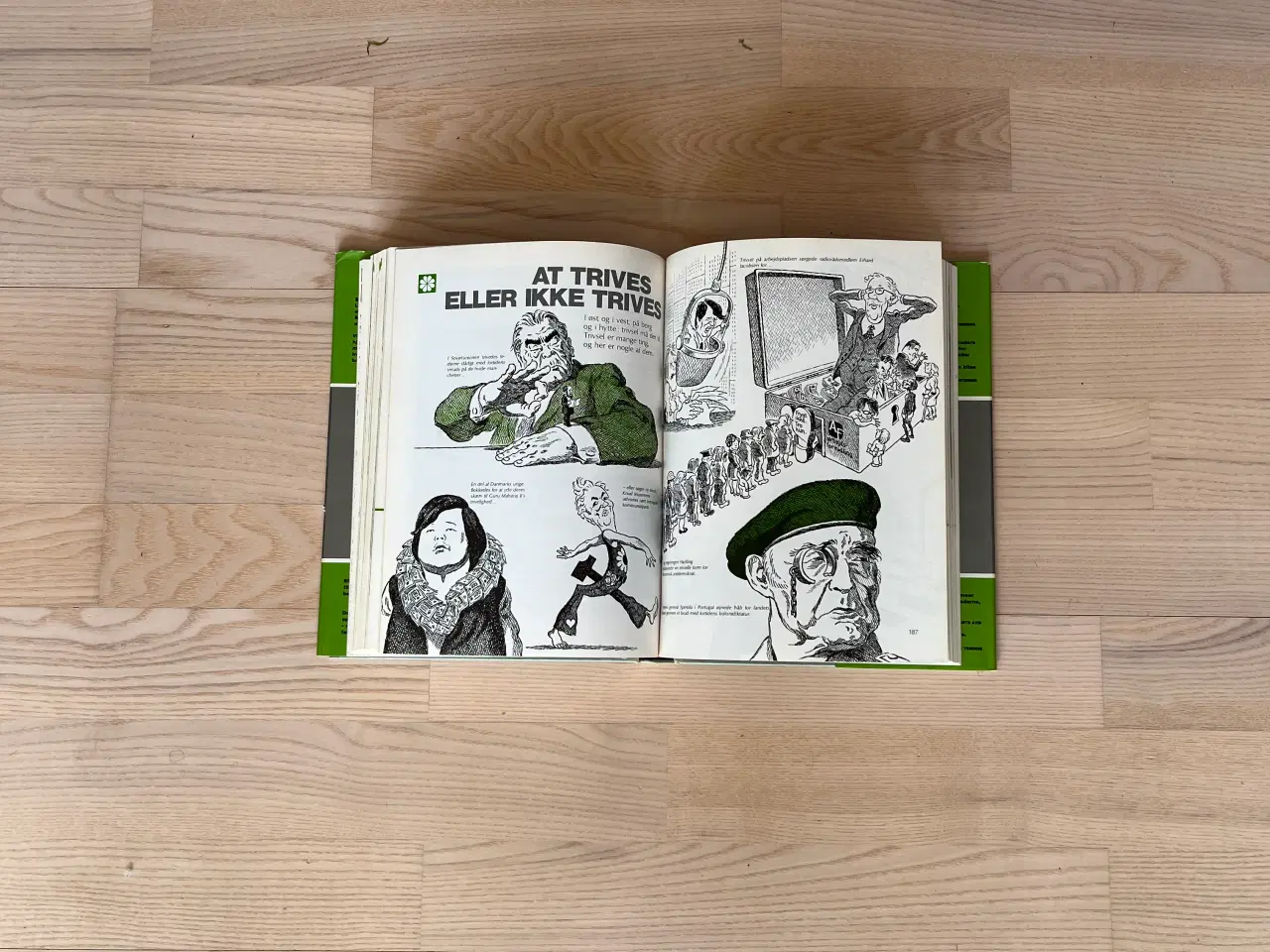 Billede 3 - Ekko - hvornår, hvordan, hvorfor skete det ?
