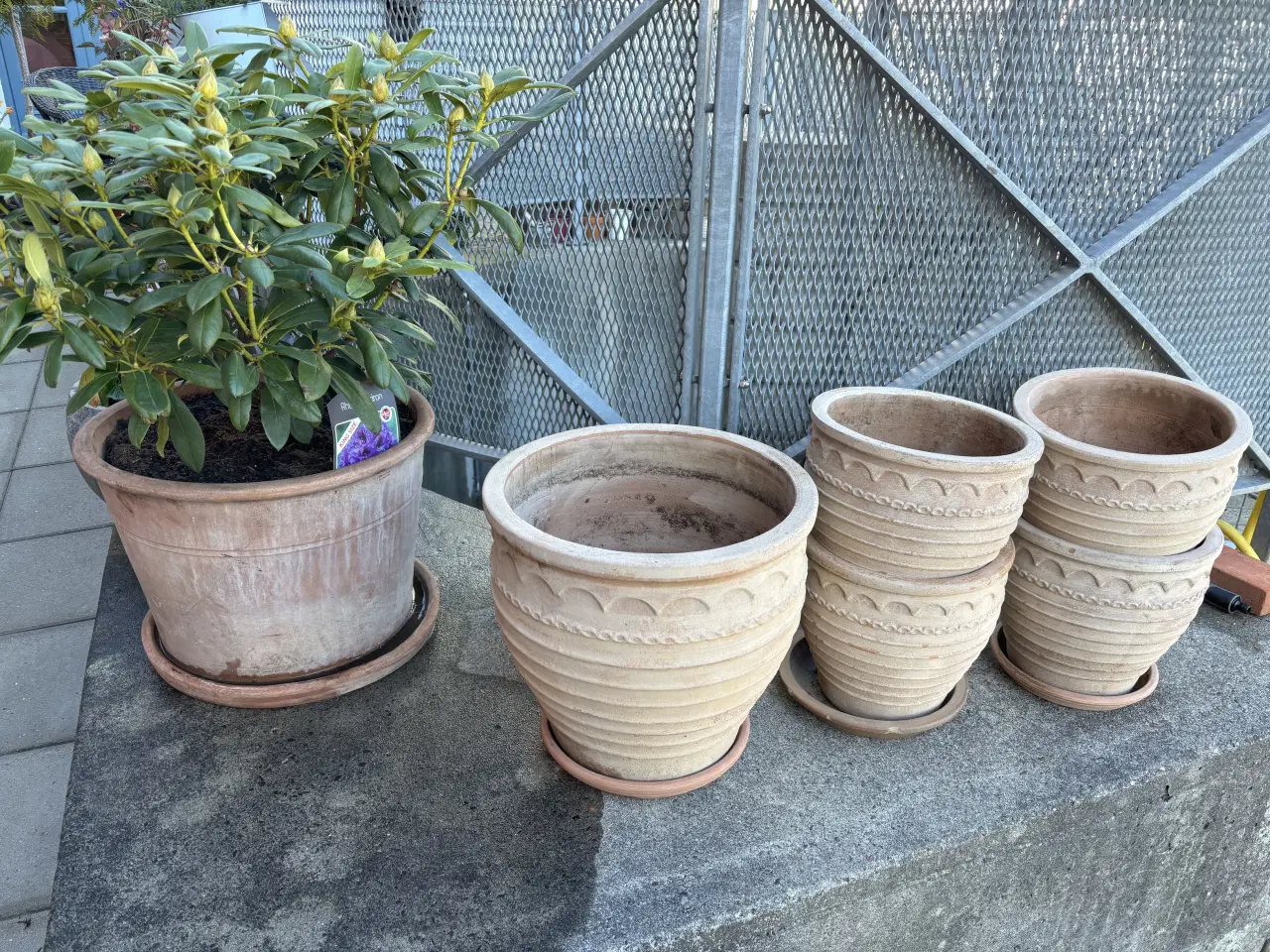 Billede 2 - Terracotta krukker til haven