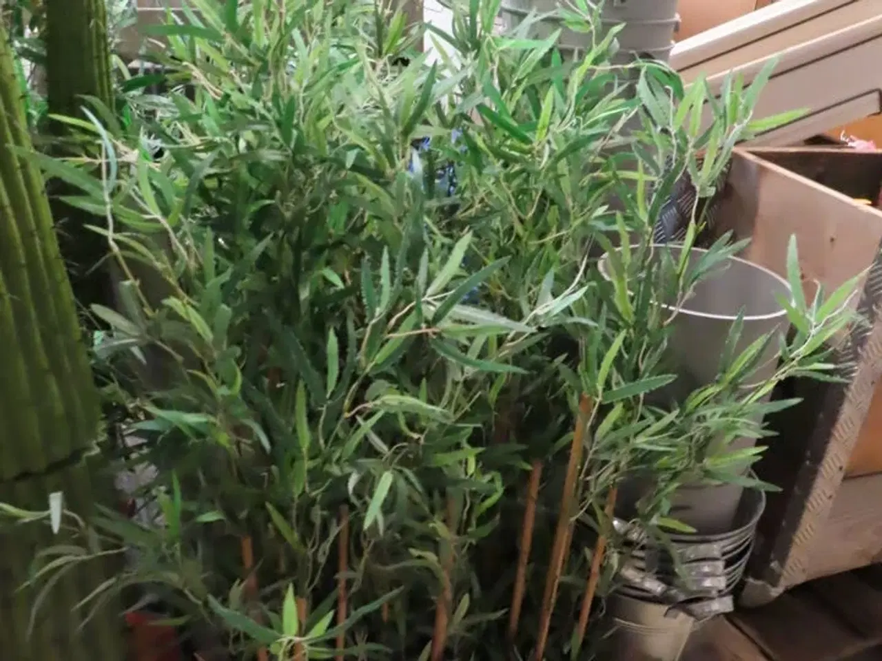 Billede 5 - Diverse falske planter