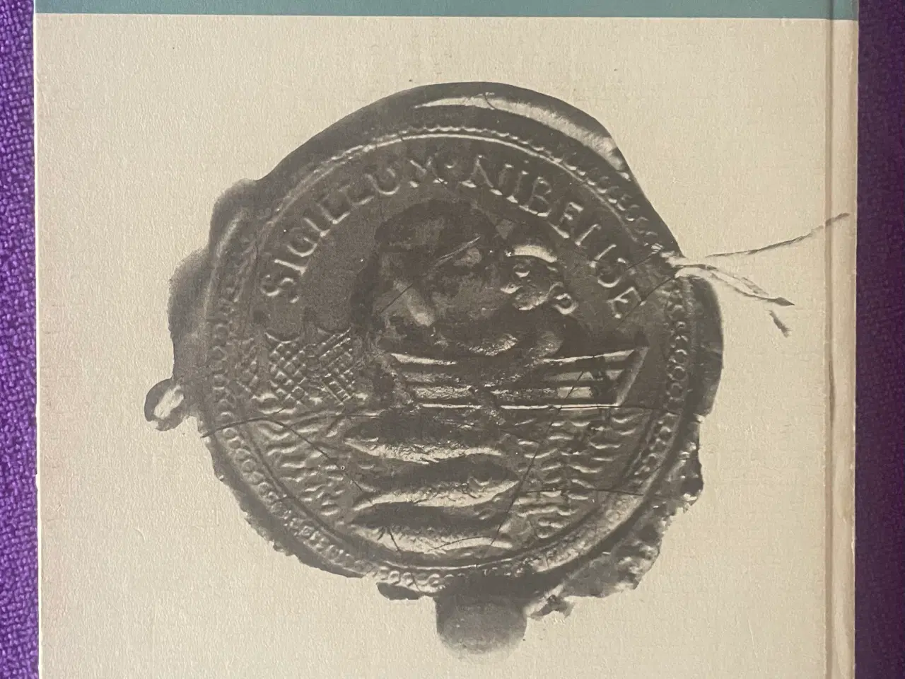 Billede 2 - Ni tværsnit af Nibes historie