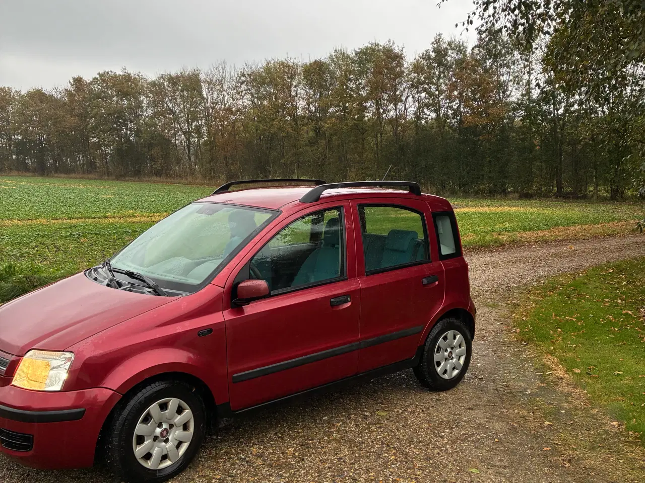 Billede 2 - Fiat Panda 1,2 5 dørs m træk til 800 kg.