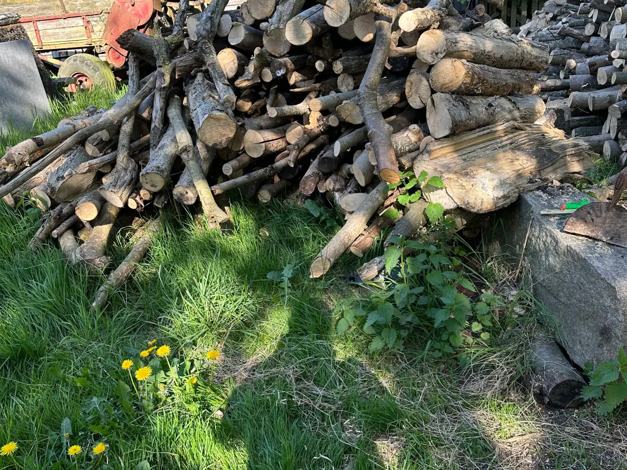 Billede 2 - Tørt rænde