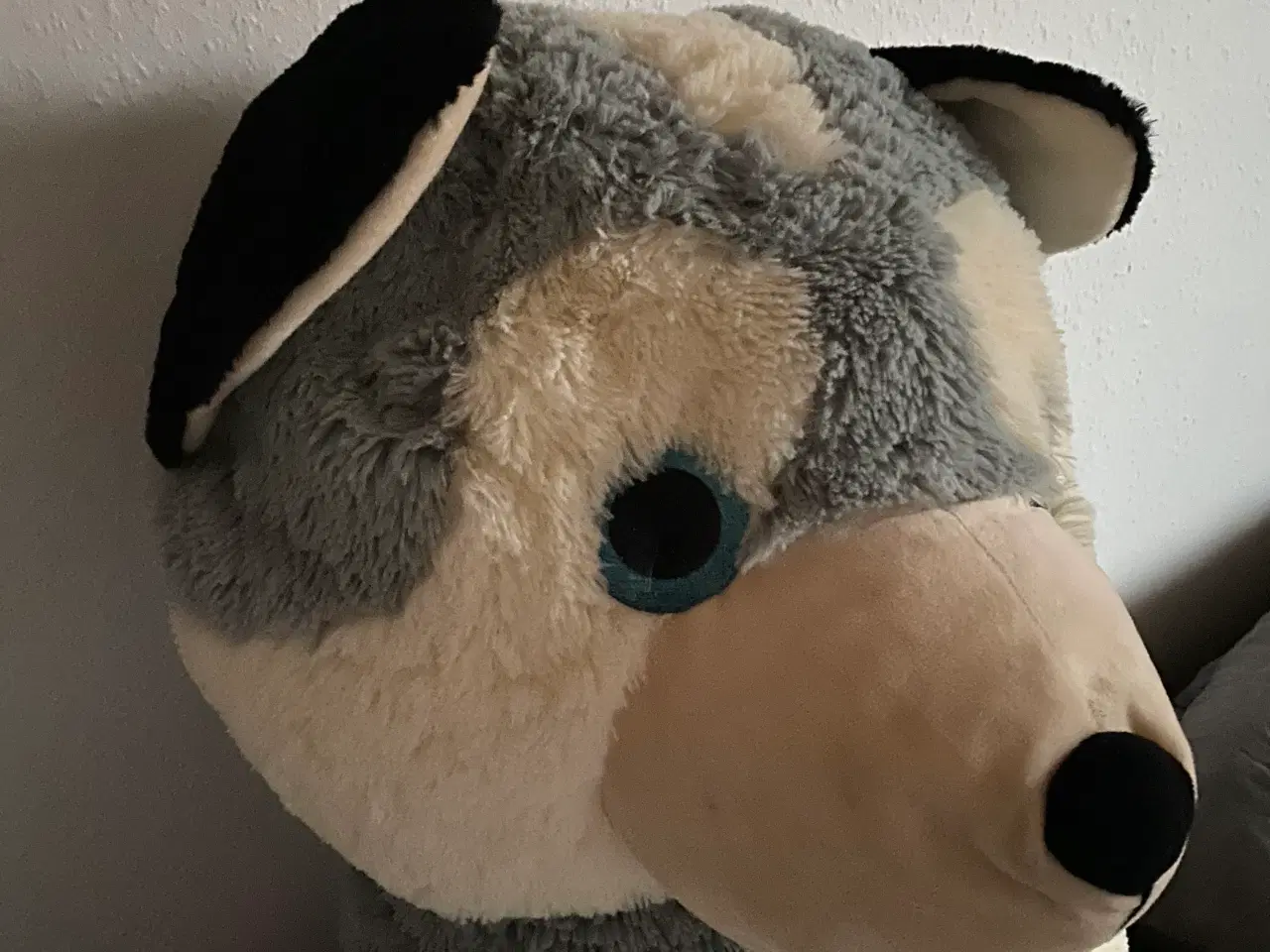 Billede 4 - Bamsehund