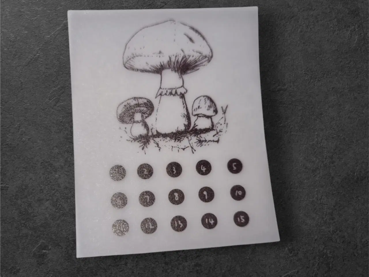 Billede 1 - Talmagi med Svampe – Kunst og Matematik på Papir