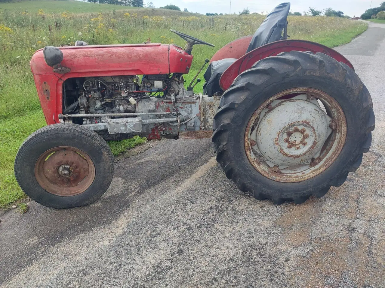Billede 6 - MF 35 Benzin