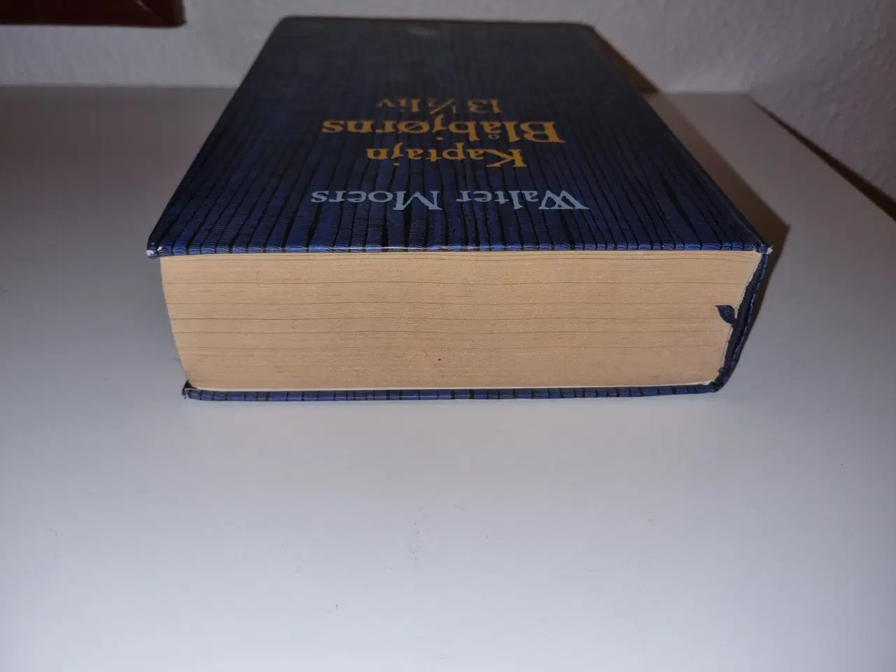 Billede 4 - Walter Moers - Kaptajn Blåbjørns 13 1/2 liv