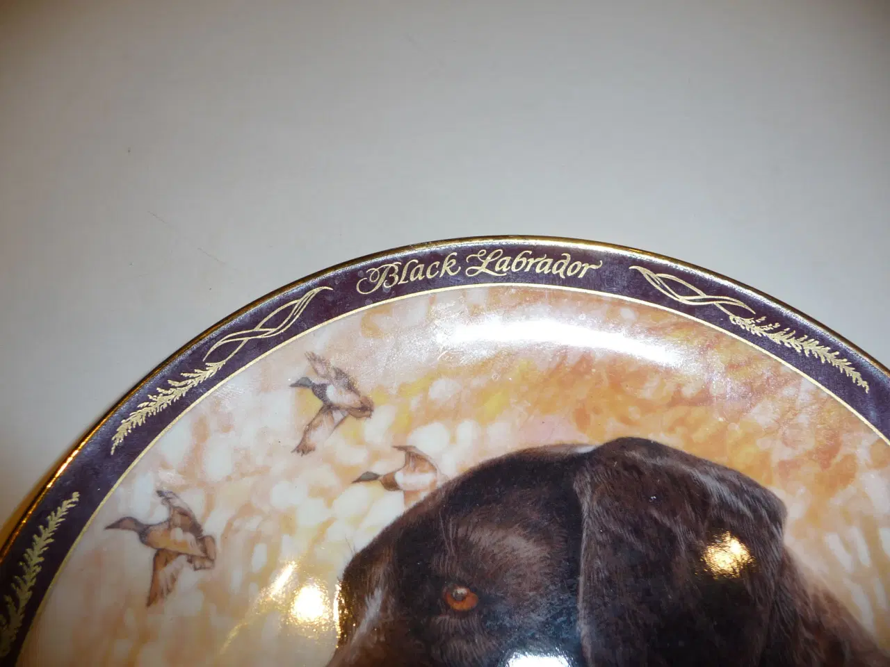 Billede 3 - Royal Doulton, Black Labrador