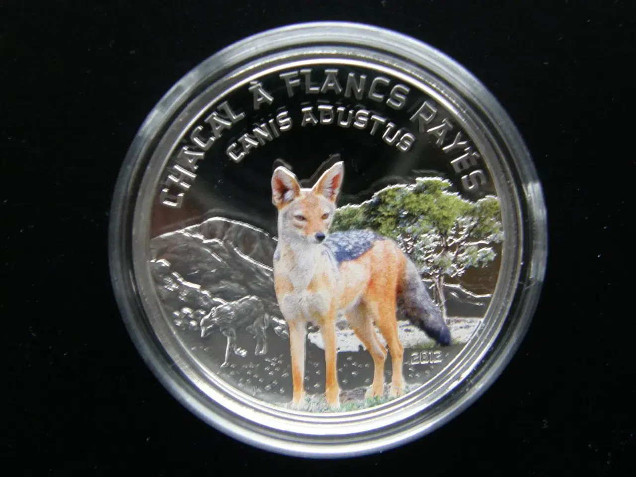 Billede 1 - Niger  1000 Francs  2012  Sølv.