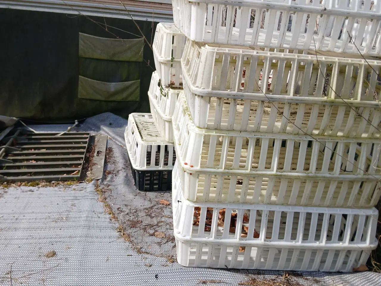 Billede 1 - Hønse kasser pr stk 100 kr 