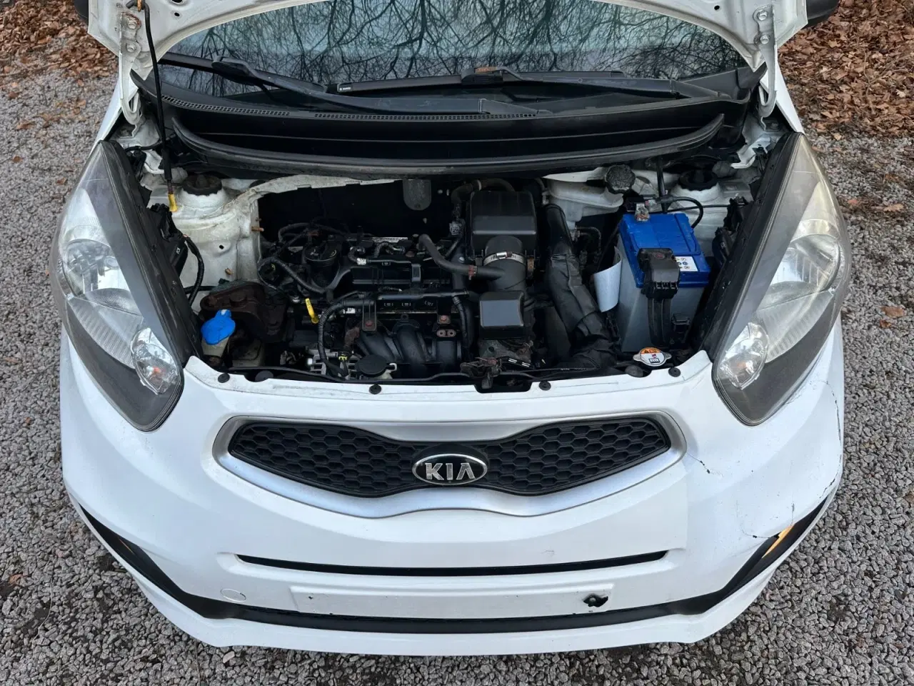 Billede 17 - Kia Picanto 1,0 Active Eco